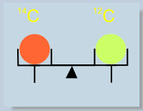 Masses of carbon isotopes