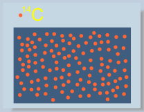 Radioactivity of 14C