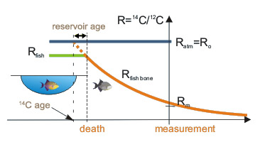 Reservoir effect